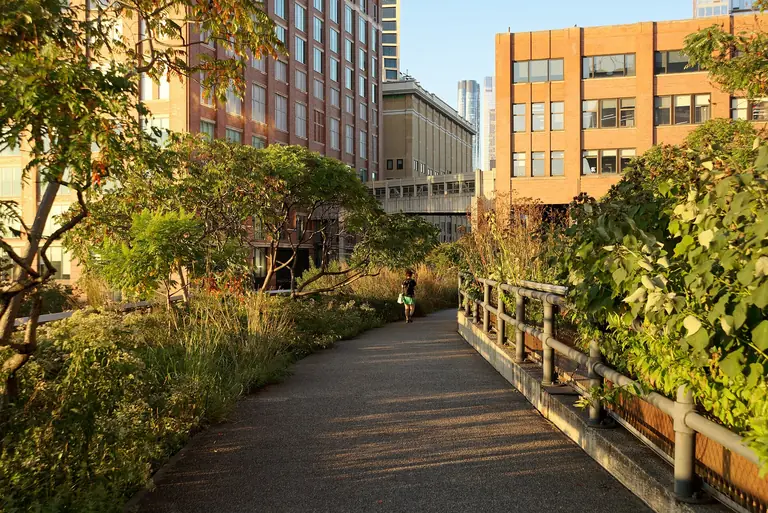 Park High Line w Nowym Jorku