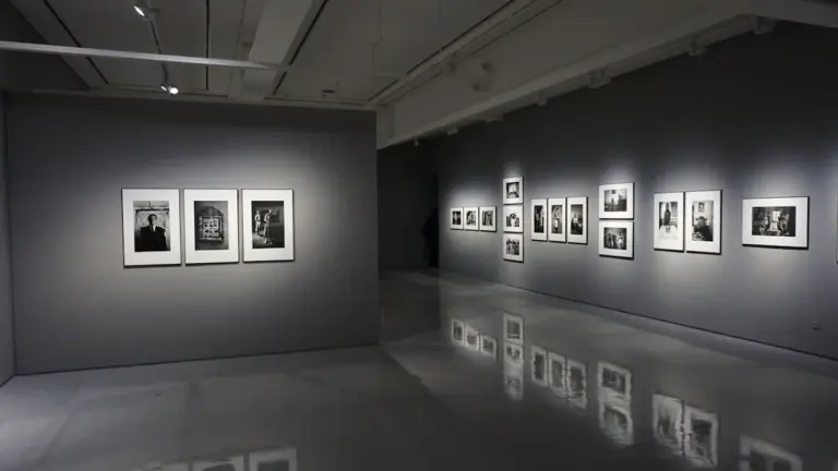 Nowoczesna galeria sztuki z licznymi oprawionymi fotografiami na ciemnoszarych ścianach.