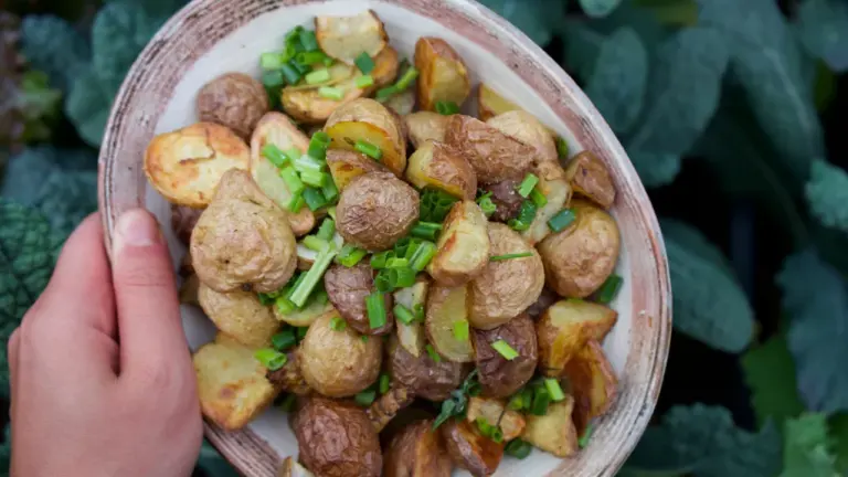 Pieczona kapusta z ziemniakami i kminkiem na obiad
